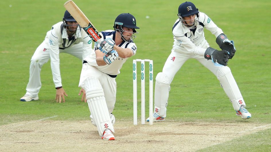 Tigerexchange Your Friendly Guide to Exchange Betting