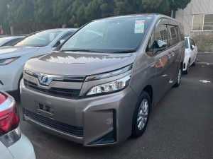 Japanese Used Cars with the Lowest Maintenance Costs Over 5 Years