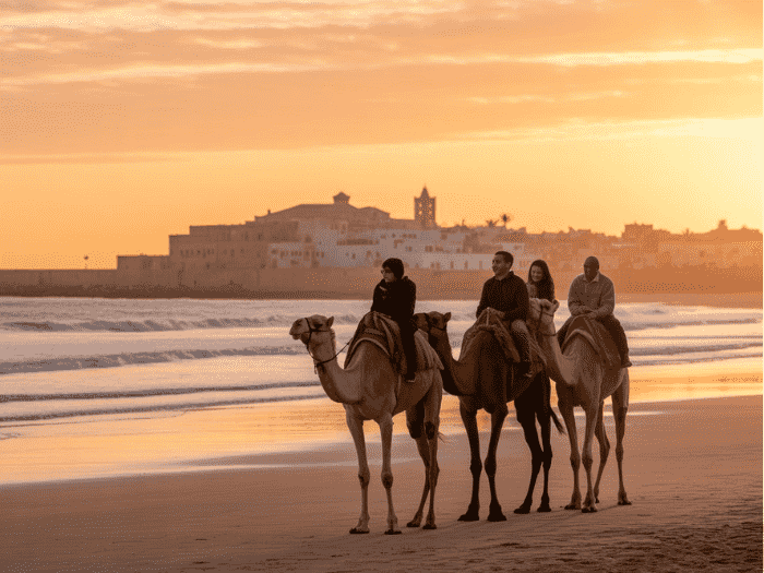 Essaouira Travel Adventure: Camel Ride by the Atlantic