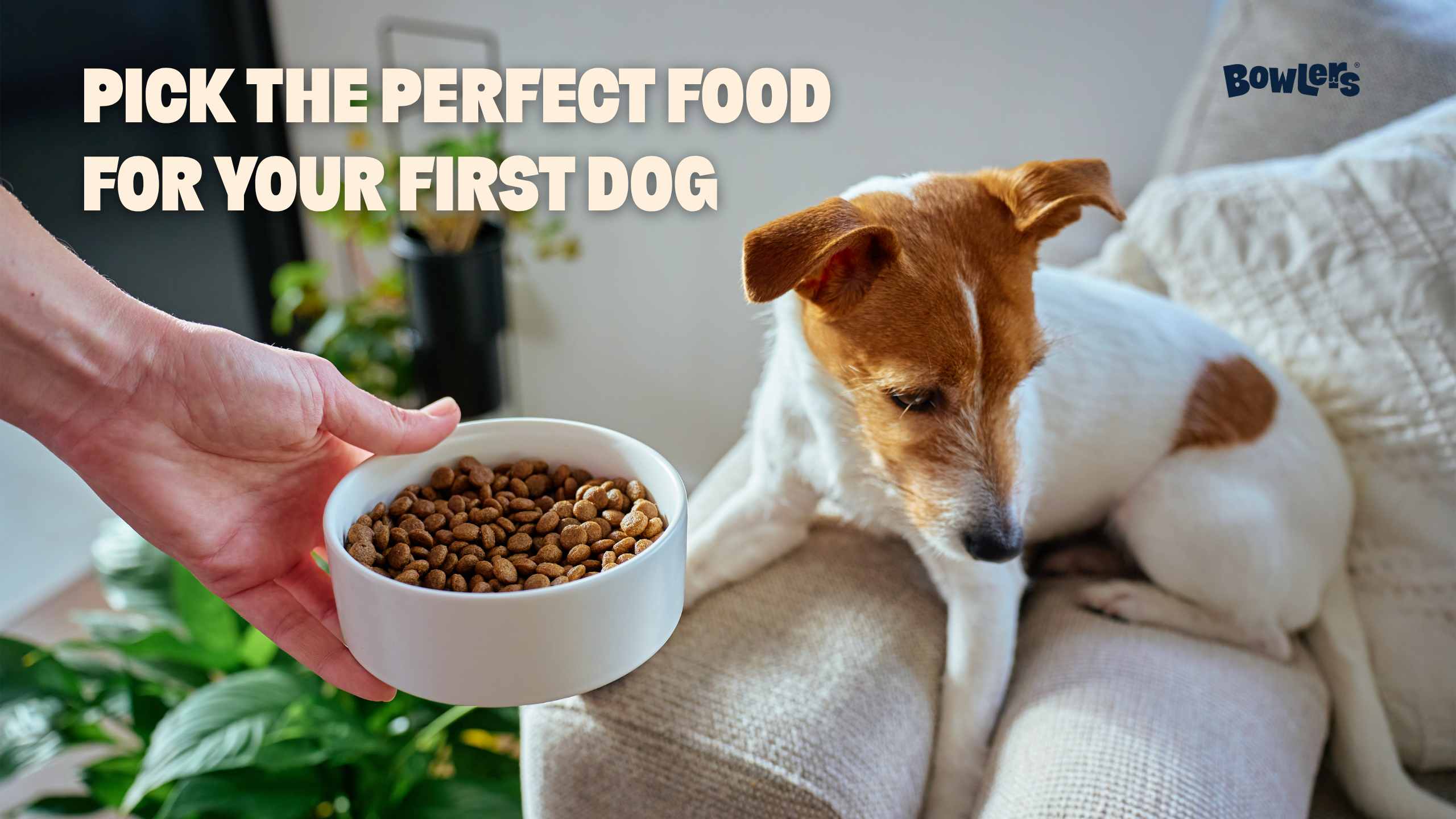 How to Choose the Right Dog Food for Your First Pet
