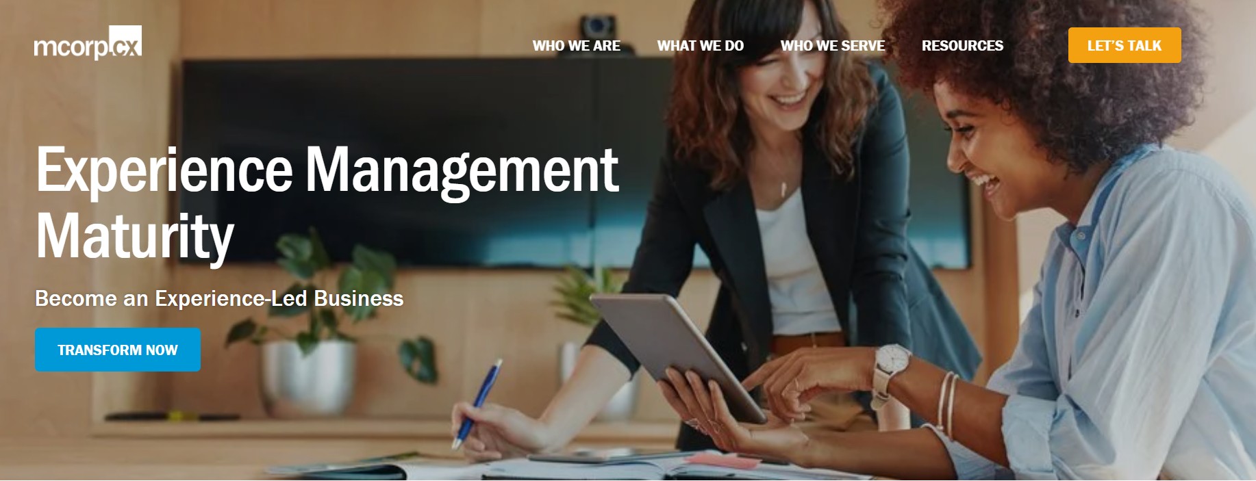 customer experience management maturity model