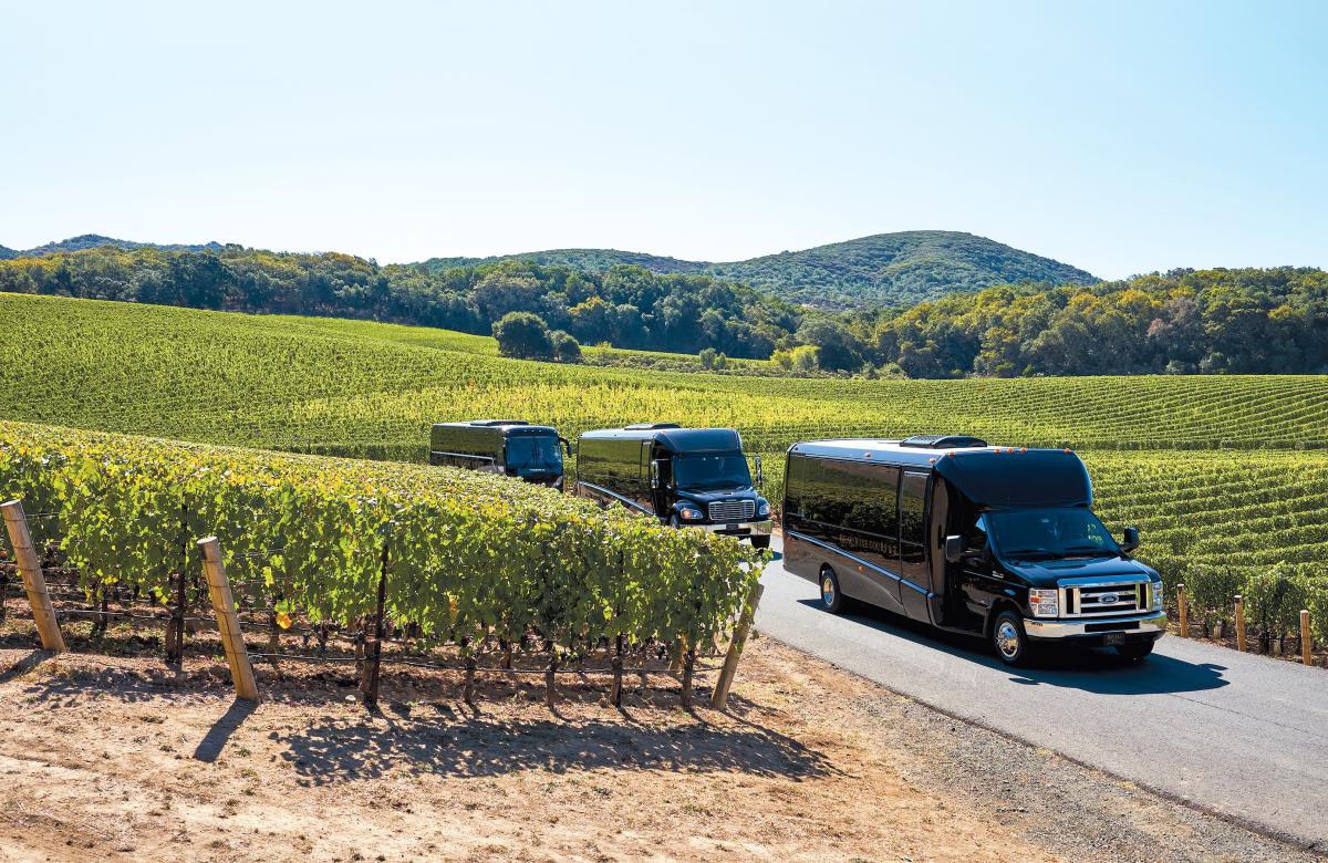 Napa wine tour