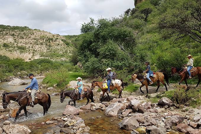 Horseback Riding