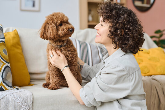 Pet Sitters