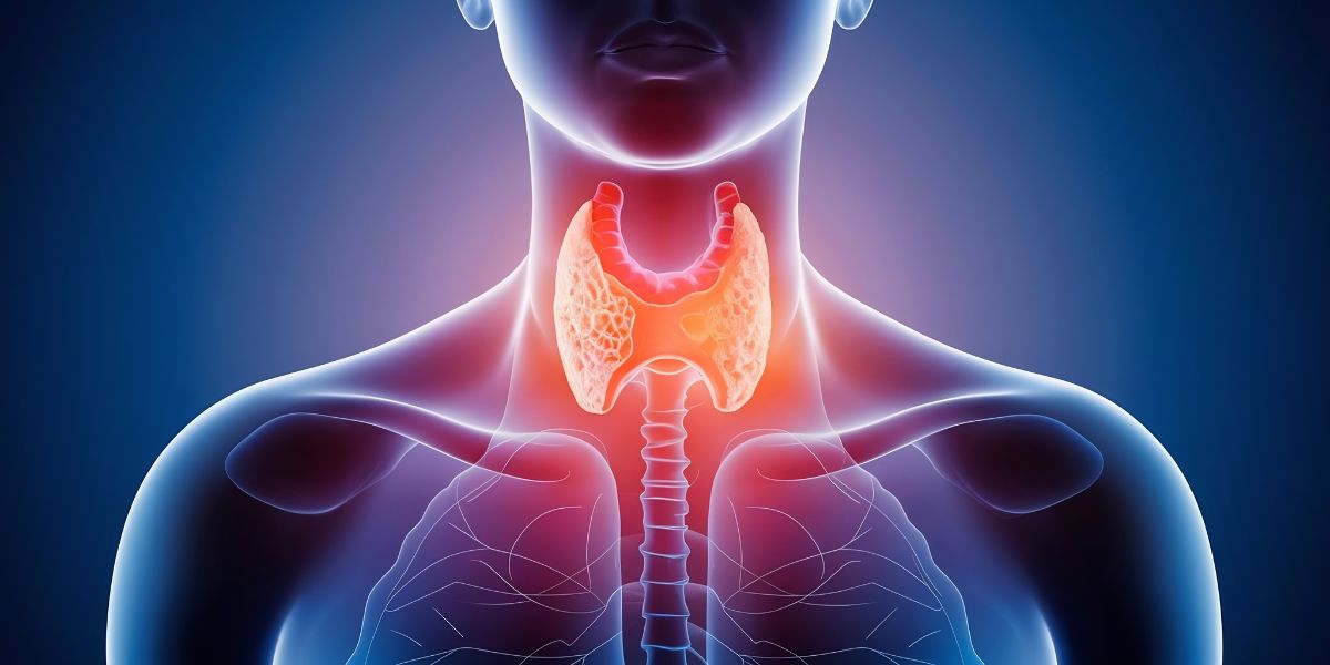 best thyroid doctor in Chennai