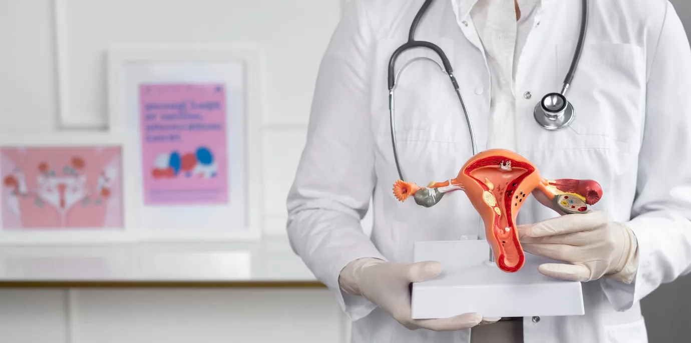Best Gynecologist Dubai